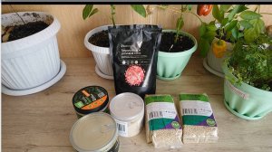 Обзор продуктов с интернет-магазина Wildberries.