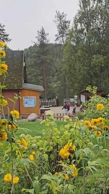 Карелия. Медвежьегорск. Место съёмок фильма Любовь и голуби смотреть онлайн