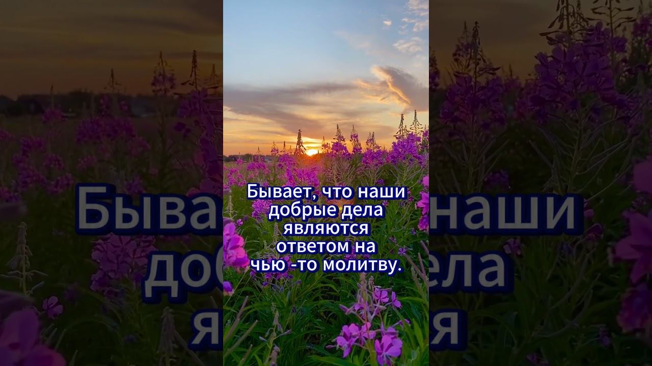 #shorts Бывает,,, смотреть онлайн