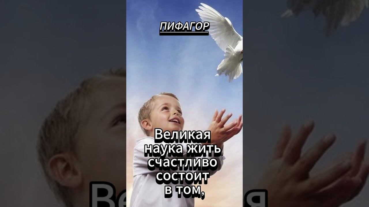 #shorts Великая наука жить... ПИФАГОР смотреть онлайн