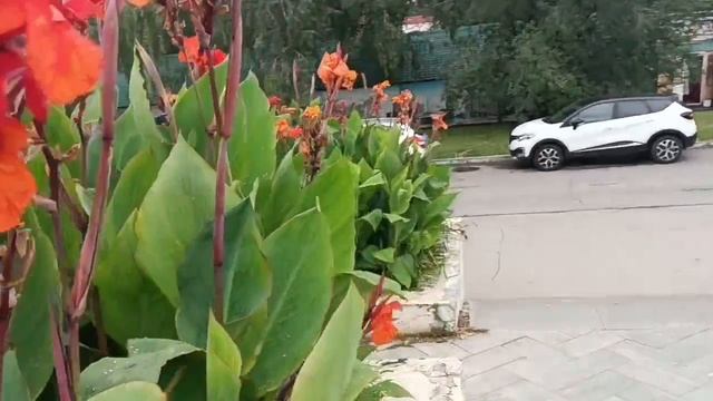 Вот мой огромный мир, быть со мной, гулять по улочкам. любоваться природой. разве это не счастье. смотреть онлайн