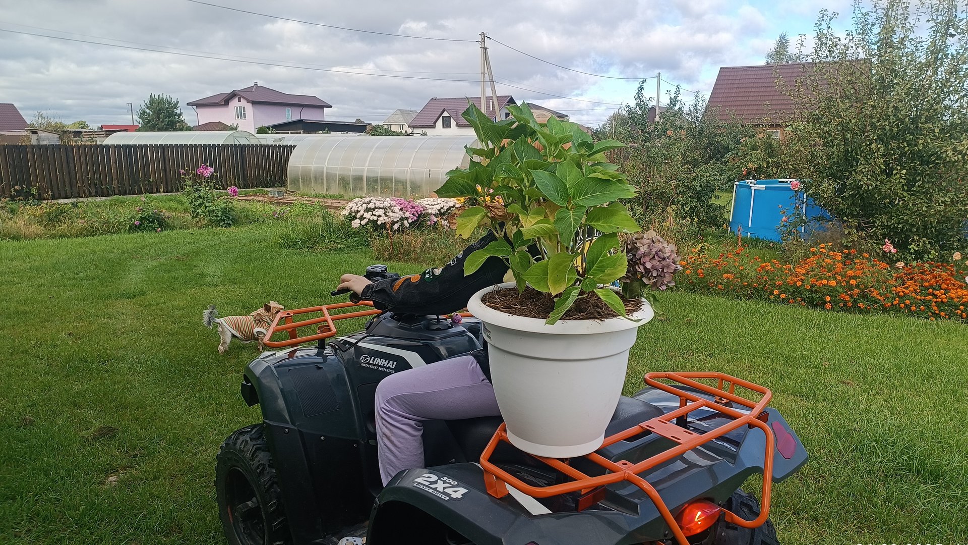 Мукбанг.Убираю остатки урожая смотреть онлайн