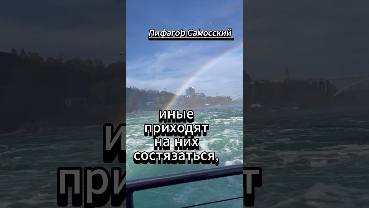 #shorts Жизнь подобна игрищам смотреть онлайн