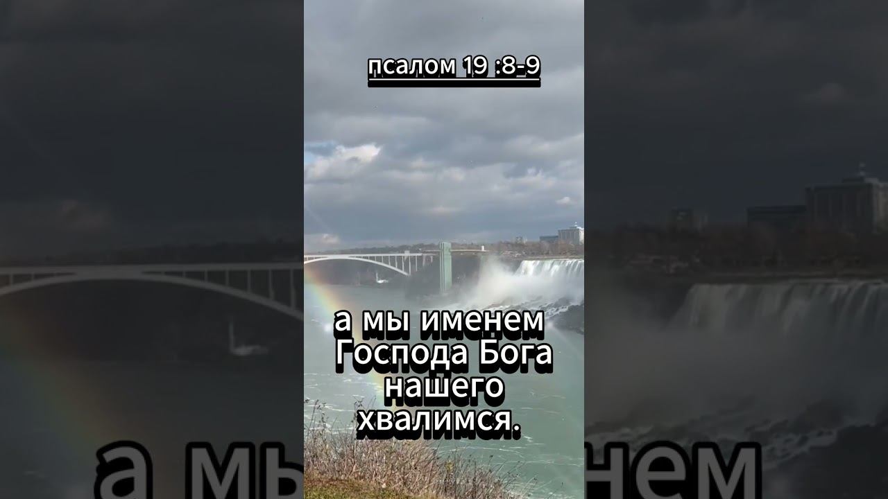 #shorts Псалом 19:8-9 смотреть онлайн