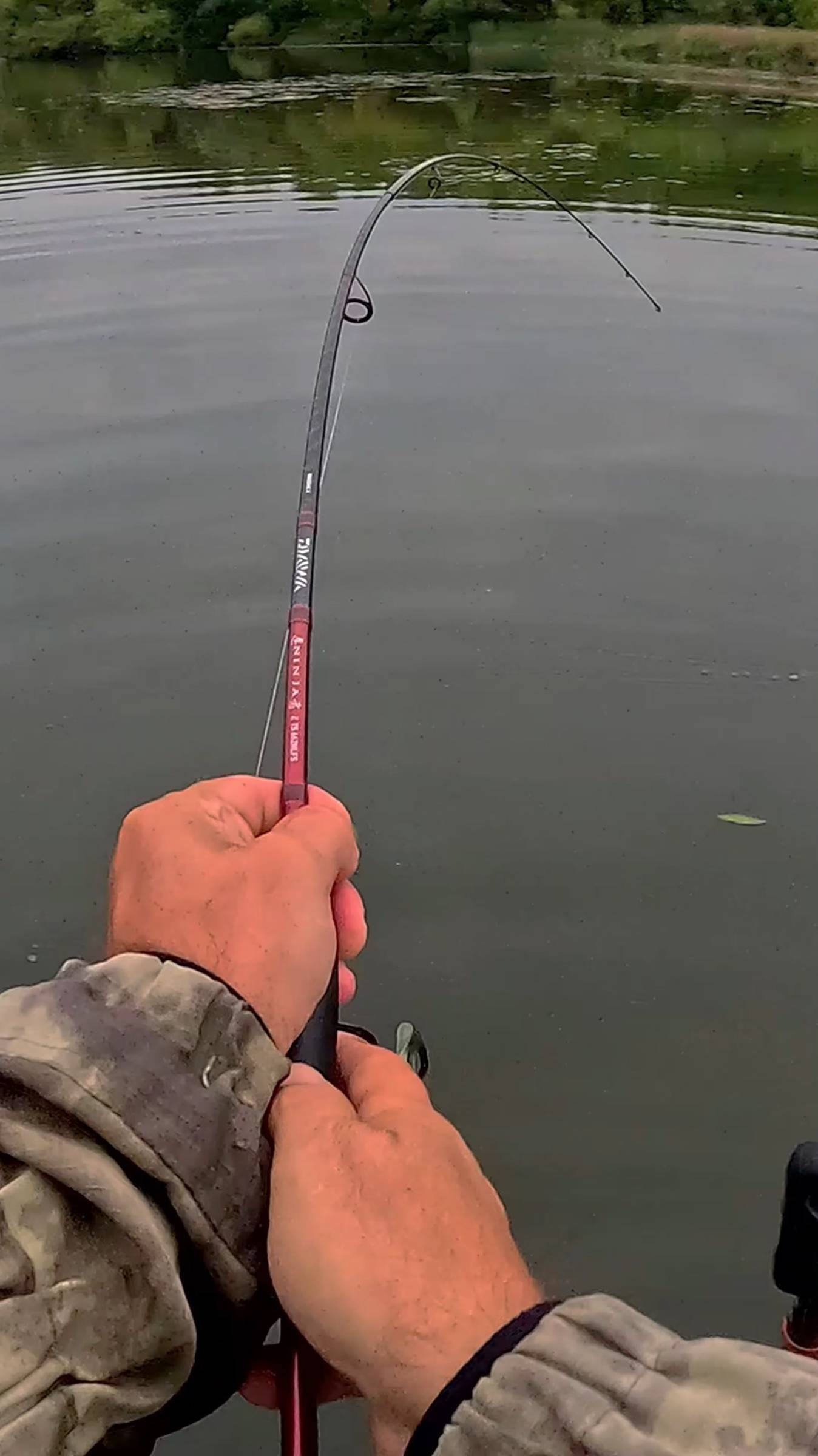 Шок! Что сделала щука с моей приманкой?!😱🎣 #shorts #щука #спиннинг смотреть онлайн