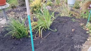 Распаковка посылки от подписчицы /как живут в русской деревне...