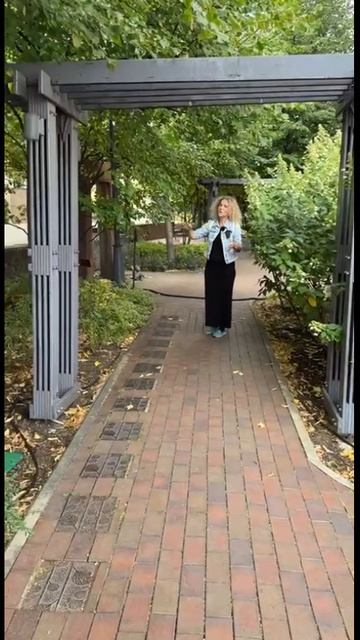 Что посадить вдоль дорожки #сад #ландшафтныйдизайн #правилаландшафтногодизайна #садсвоимируками