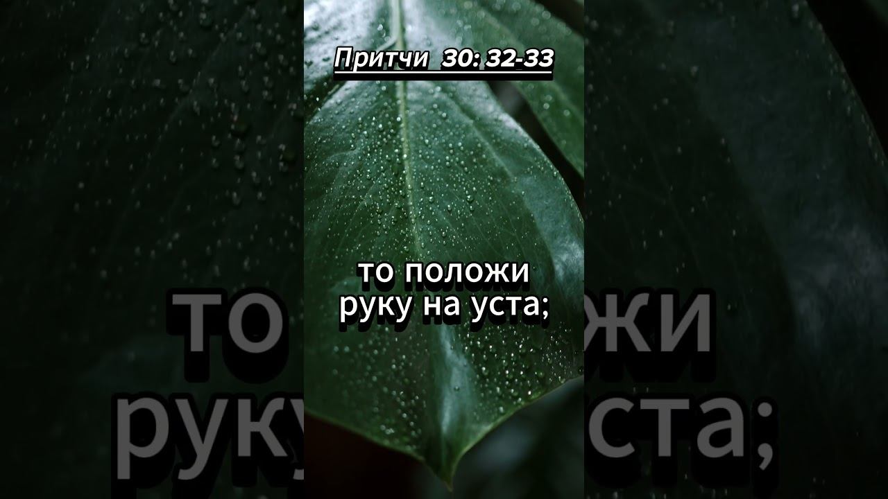 #shorts Притчи 30 :32 - 33 смотреть онлайн