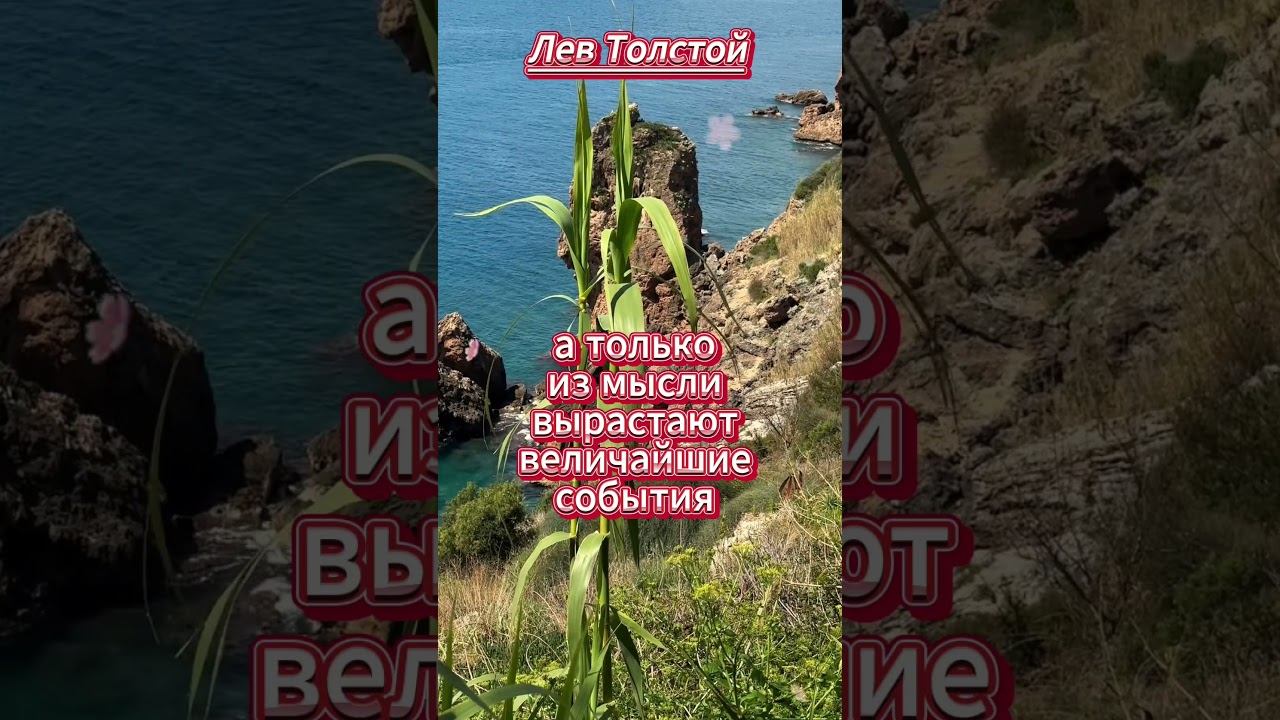 #shorts. Зерно невидимо...Толстой смотреть онлайн