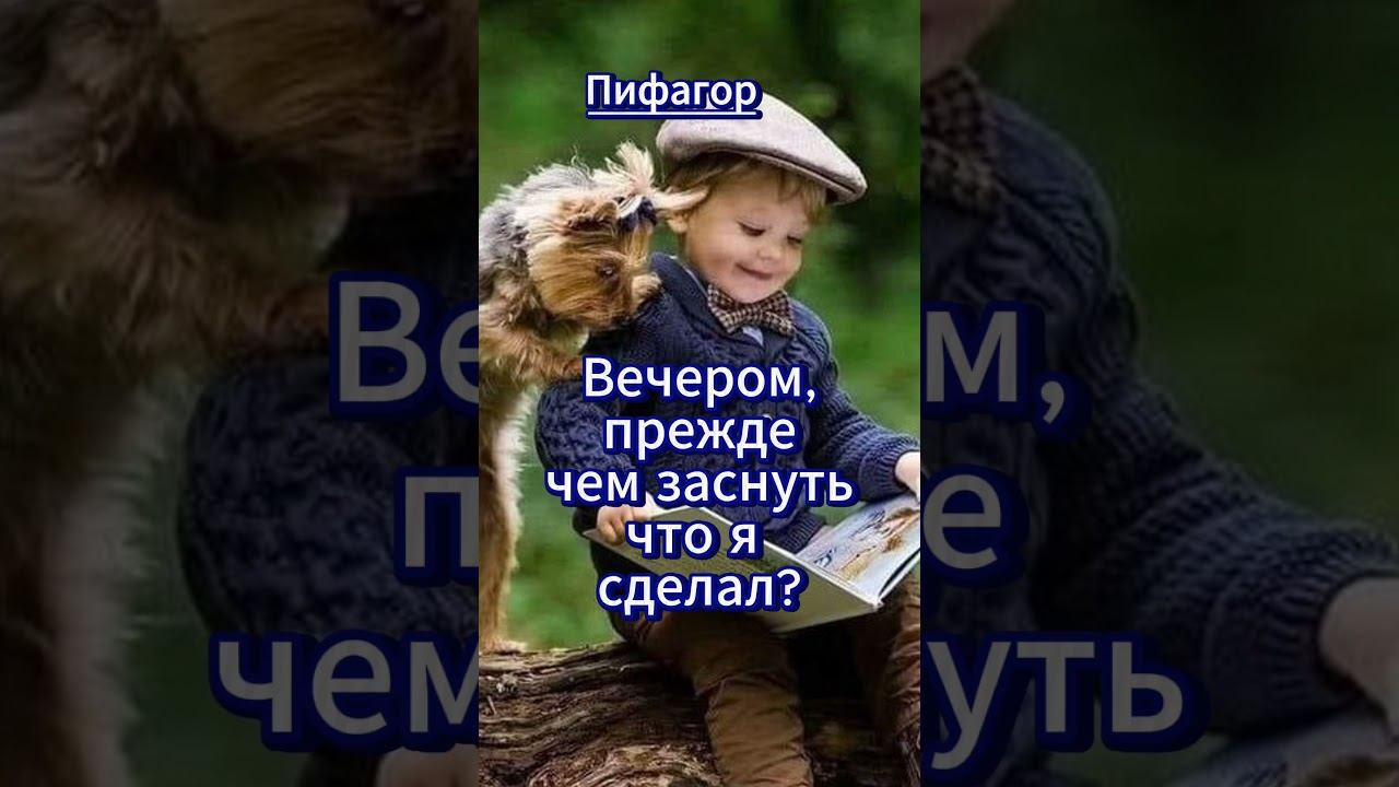 #shorts Просыпаясь утром, смотреть онлайн
