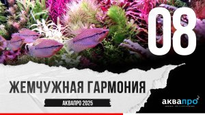 08. Жемчужная гармония. #АкваПро