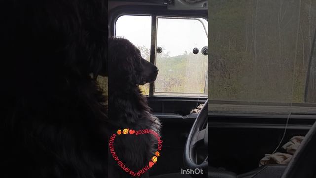 Возвращайся. Татьяна Ярош-Агапитова