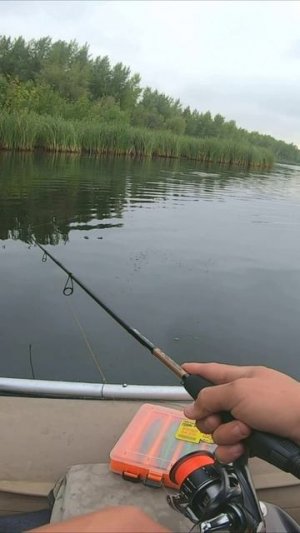 ЩУКА НА СПИННИНГ/РЫБАЛКА В САМАРЕ/ЛОВЛЯ НА ВОБЛЕР/ОСЕННЯЯ РЫБАЛКА/ЩУКА/РЕКА САМАРА/РЫБАК 87/2025