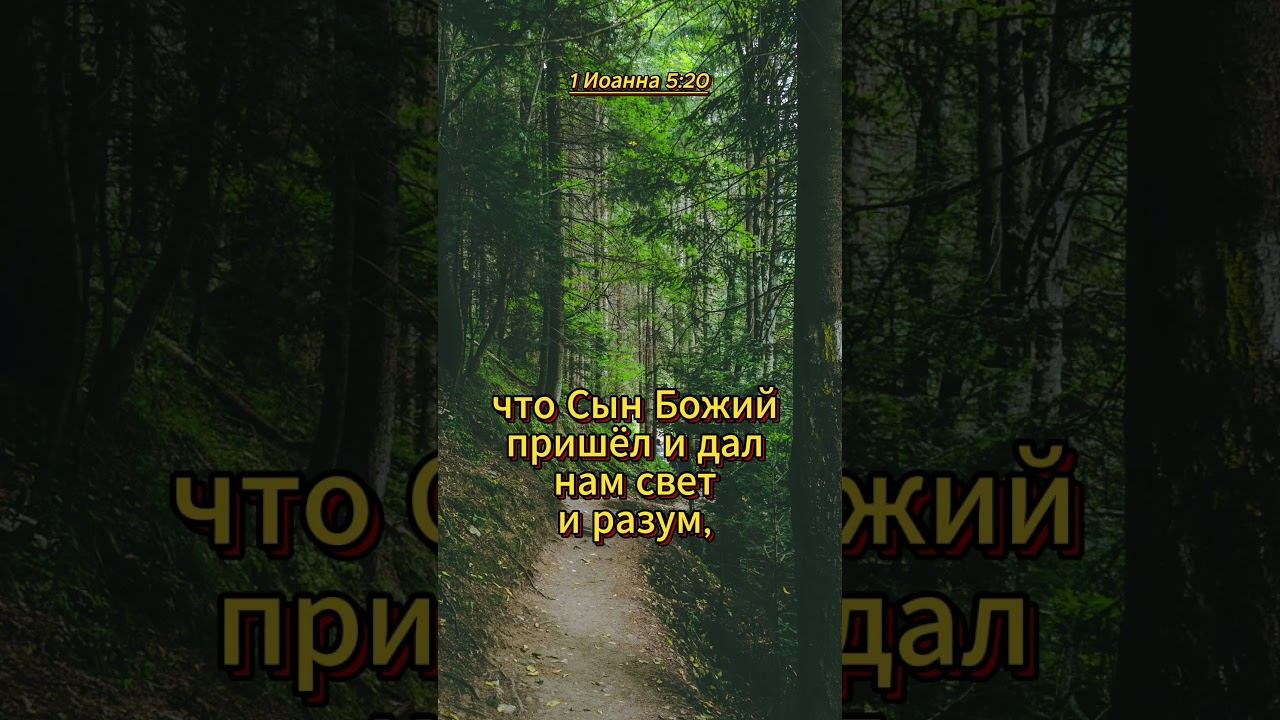 #shorts 1 Иоанна 5:20 смотреть онлайн