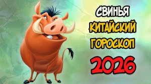 КИТАЙСКИЙ ГОРОСКОП на 2026 год для СВИНЬИ