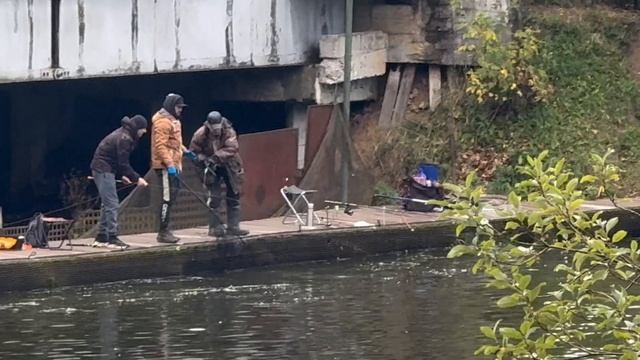 Серый мост смотреть онлайн