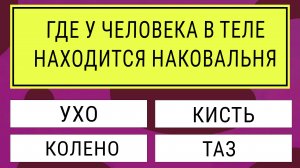 Думаете, ваш мозг справится? Тест на эрудицию онлайн