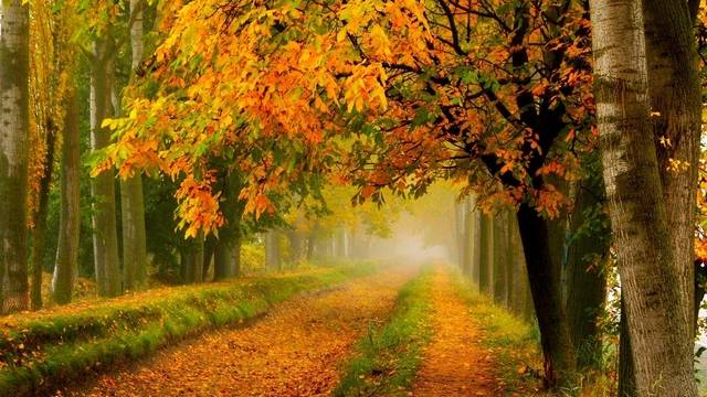 Все Мечты На Этом Построены. смотреть онлайн