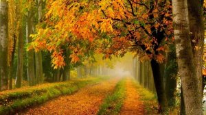 Все Мечты На Этом Построены.