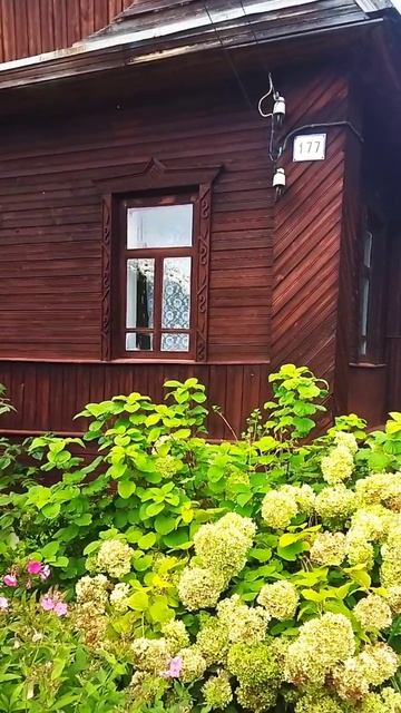 Дача ЧМК Андога смотреть онлайн