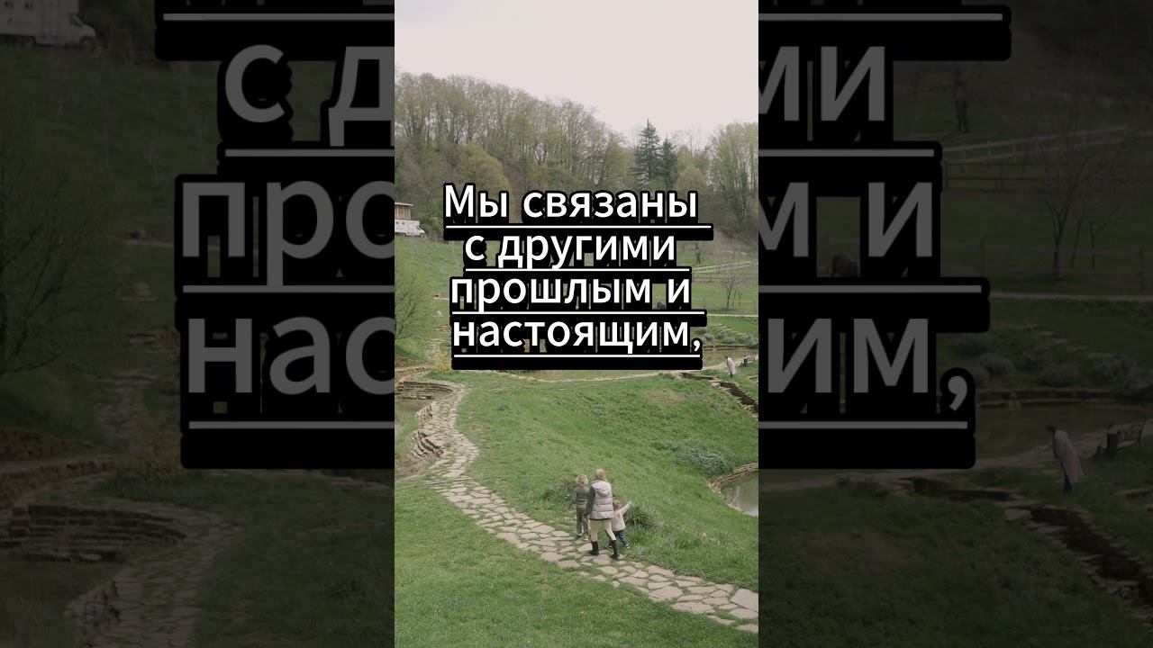 #shorts Мы не хозяева смотреть онлайн
