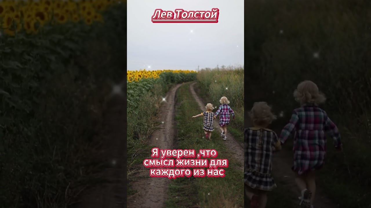#shorts Я уверен ,что смысл жизни смотреть онлайн