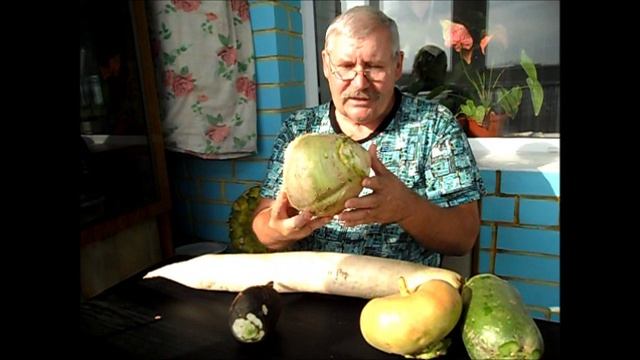 Брюква сорт КРАСНОСЕЛЬСКАЯ