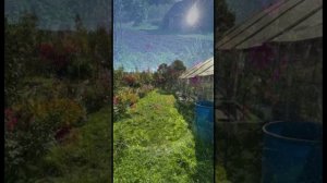 Жилой дом д. Малая Именная Свердловская область