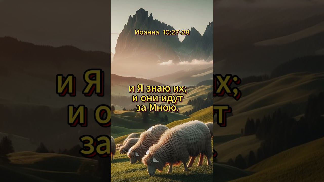 #shorts Иоанна 10:27-28 смотреть онлайн