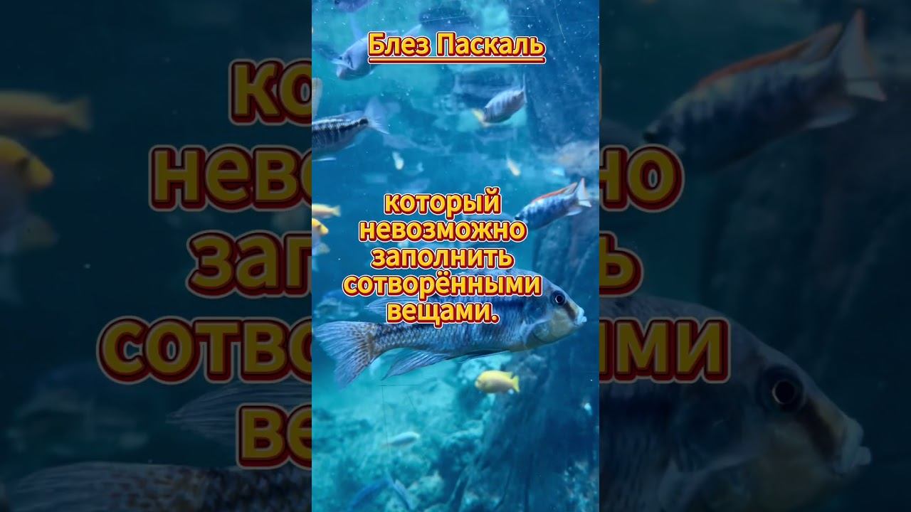 #shorts Блез Паскаль смотреть онлайн
