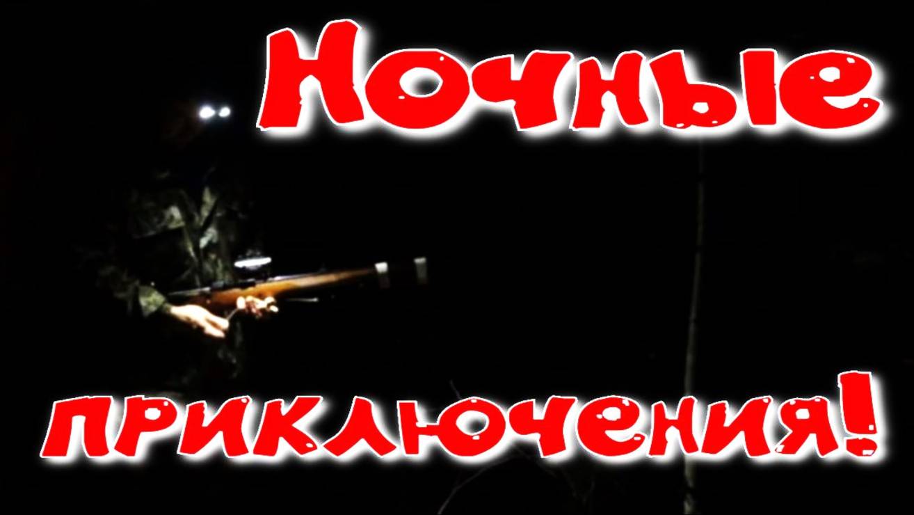 Ночная охота барсука превратилась марафон событий вначале лось потом барсук медведь и неведомо ЧТО смотреть онлайн