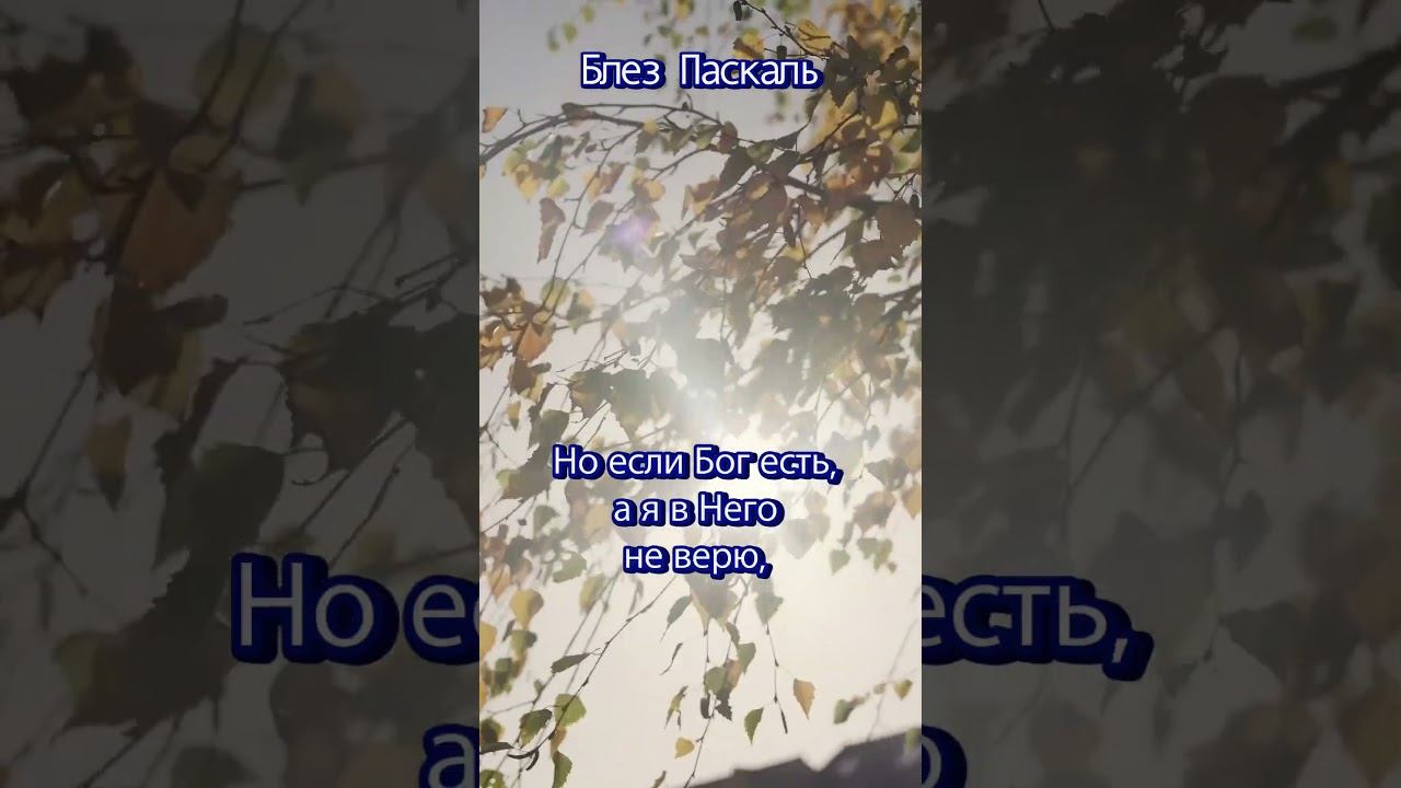 #shorts Если Бога нет смотреть онлайн