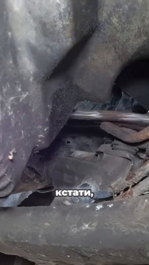 TG: nexpertGM Множественнные следы! #shorts #независимыйэксперт #георгиймедведев