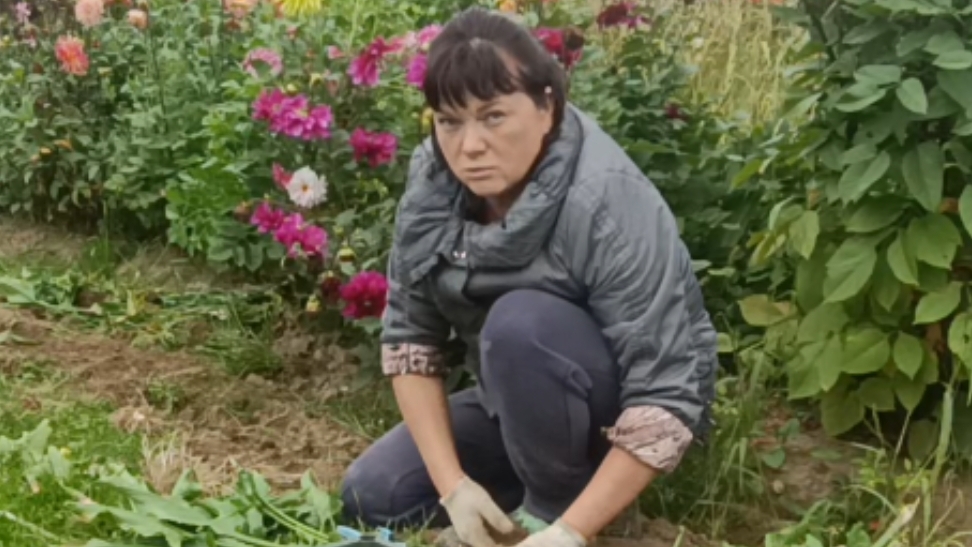 Реальные истории.Смейтесь больше... смотреть онлайн