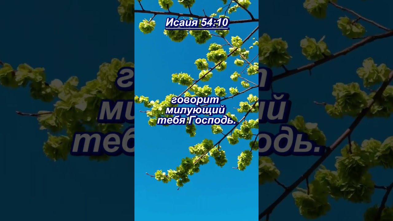 Исаия 54- 10 #мудрость смотреть онлайн