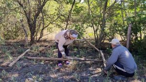 Вареники с капустой. Шалаш для уток.