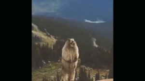 ААААААА́ААААААААААААААААААААААААААААААААААААААААААААААААААААААААААААААААА