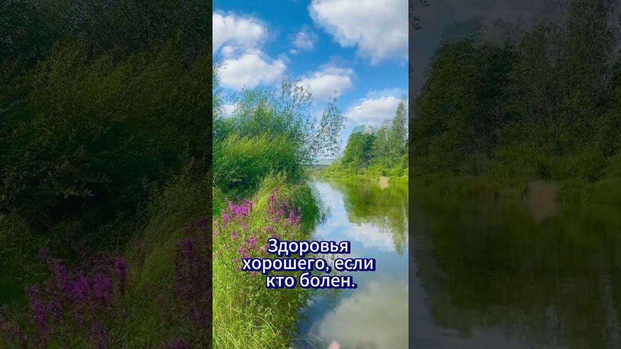 #shorts О, Боже, дай смотреть онлайн