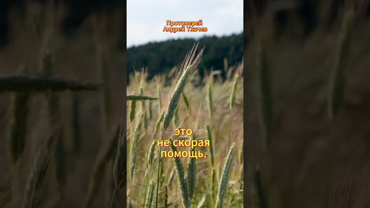 #shorts К Богу нужно идти до беды смотреть онлайн