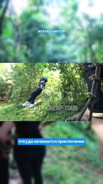 Полёт над джунглями, который ты запомнишь навсегда 😎⚡️😍! По всем вопросам о программах пишите нам смотреть онлайн