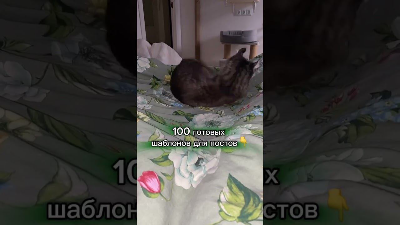 100 готовых шаблонов для постов (читай комментарии) смотреть онлайн