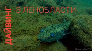Дайвинг в Ленобласти. Саперное озеро - 2