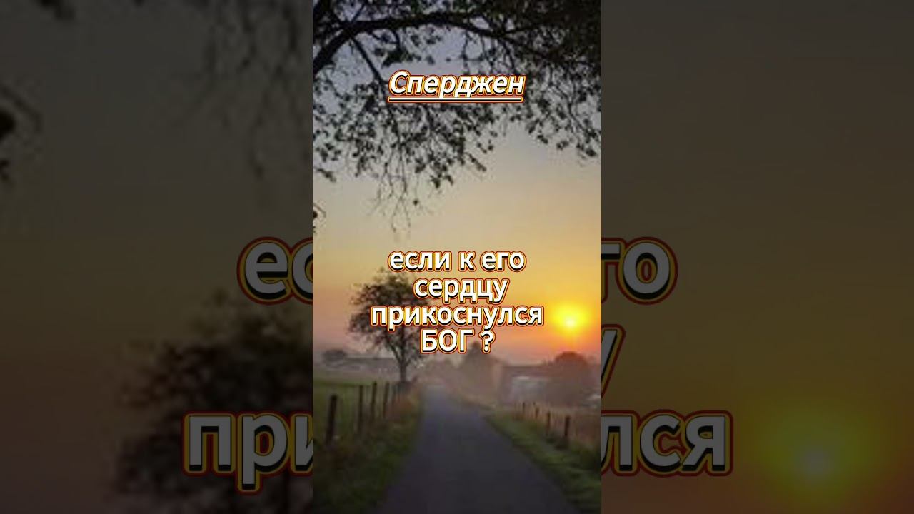 #shorts Сперджен смотреть онлайн