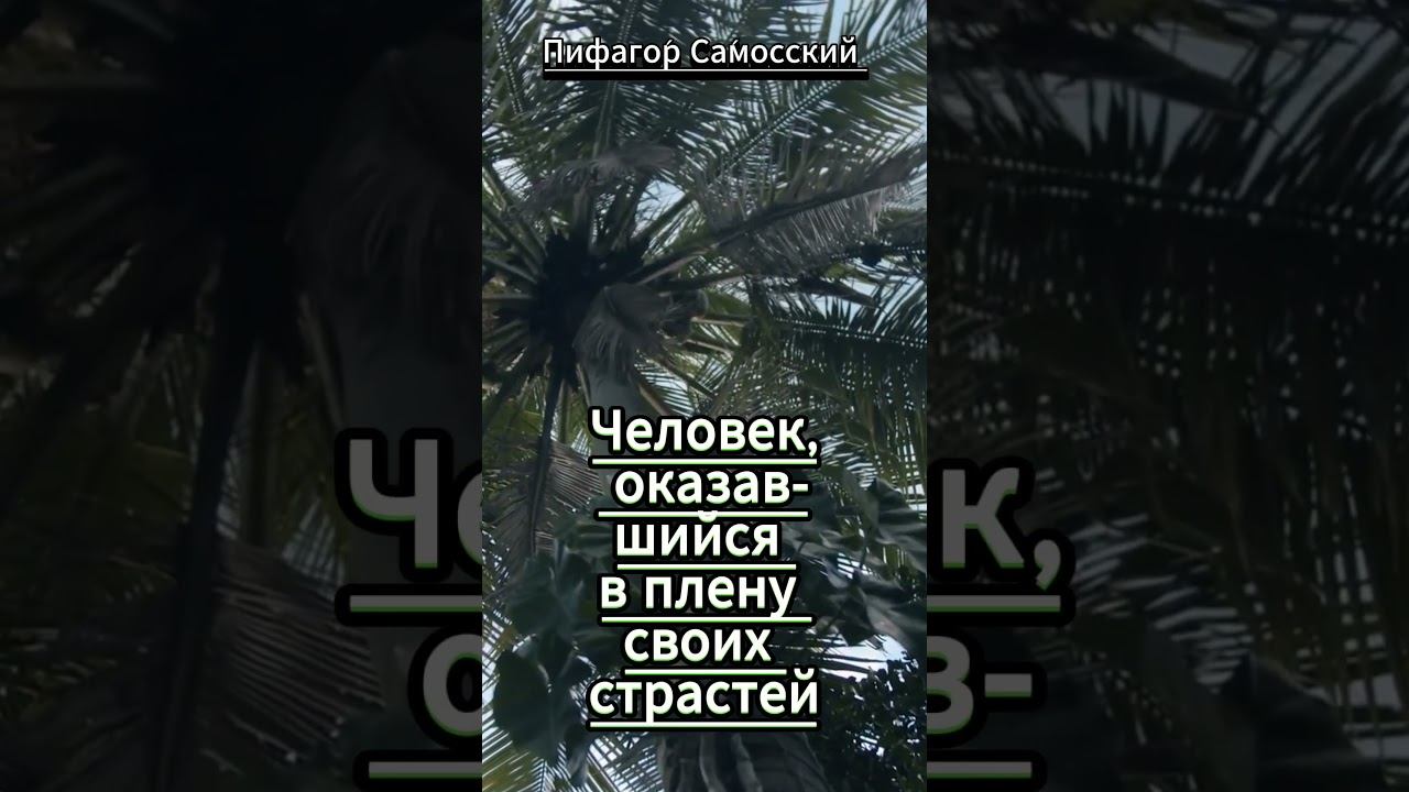 #shorts Человек, оказавшийся в плену смотреть онлайн