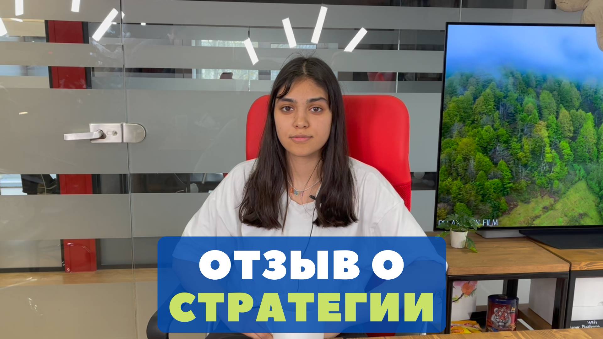 Отзыв Кристины о стратегии жизни