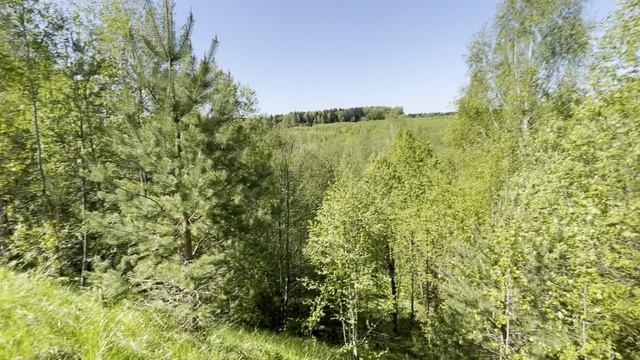 IMG_8508 смотреть онлайн