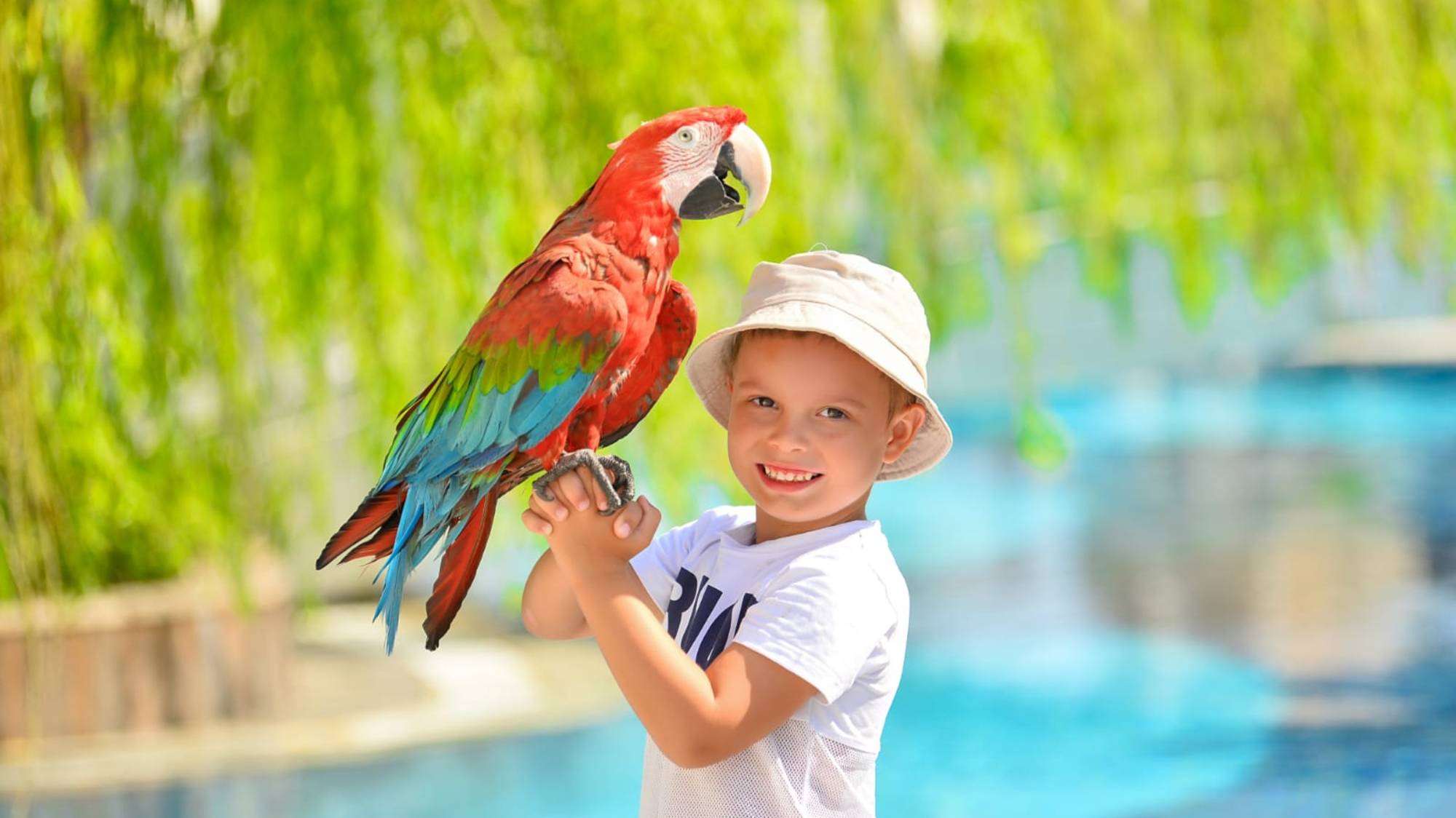 Турция часть 5 Финал