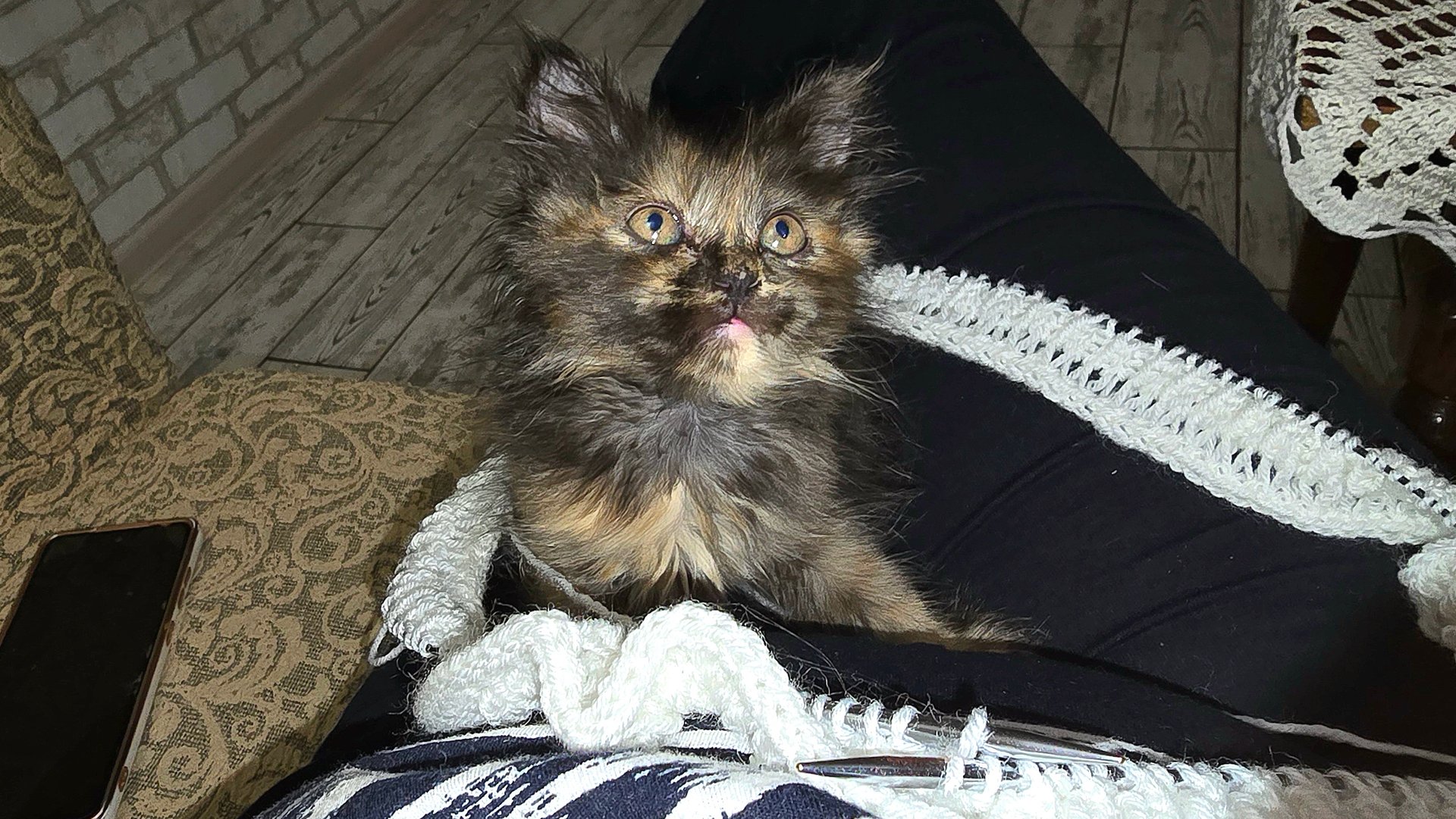 ✨️Вот так и живём ✨️День наполнен заботами✨️Жизнь станичная✨️ смотреть онлайн