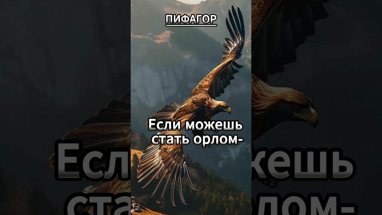 #shorts Если можешь стать орлом смотреть онлайн