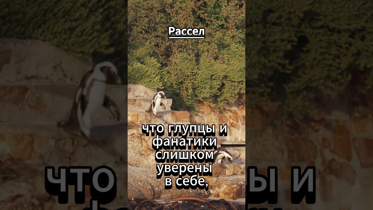 #shorts Рассел.. Проблема этого мира смотреть онлайн